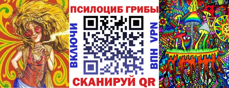 Псилоцибиновые грибы прущие грибы  Владимир 